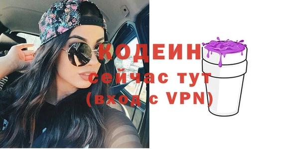 соль ск Новозыбков