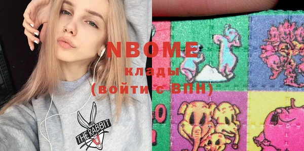 твердый Новодвинск