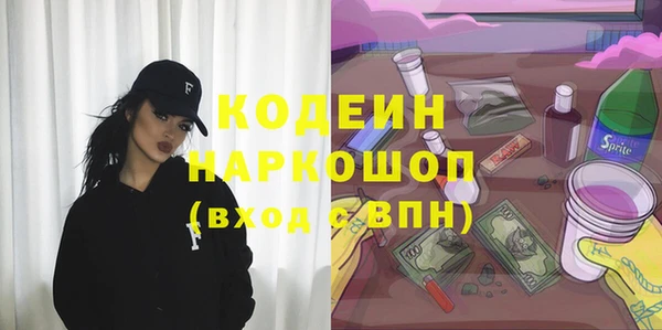 твердый Новодвинск