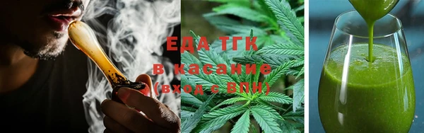 соль ск Новозыбков