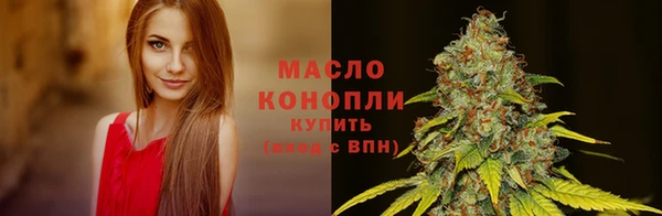 твердый Новодвинск