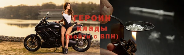 соль ск Новозыбков