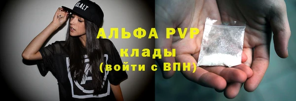 соль ск Новозыбков