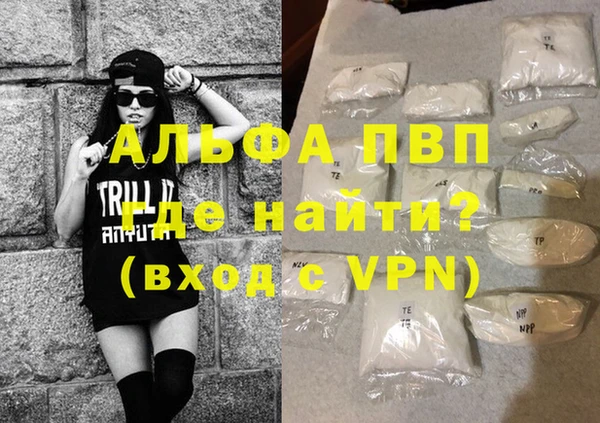 твердый Новодвинск