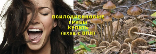 кокс Нягань