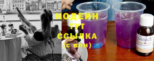 твердый Новодвинск