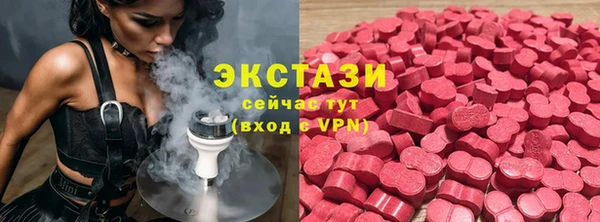 соль ск Новозыбков