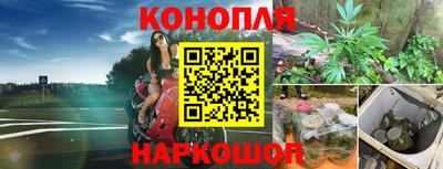 прущие крисы Гусиноозёрск
