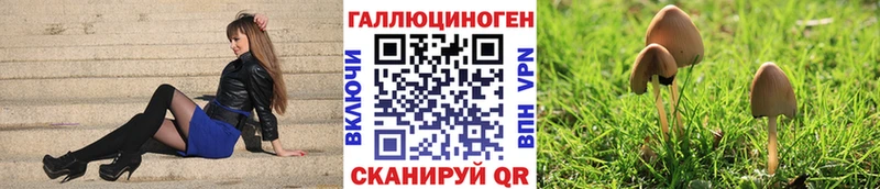 наркота  Зеленодольск  Псилоцибиновые грибы мицелий 