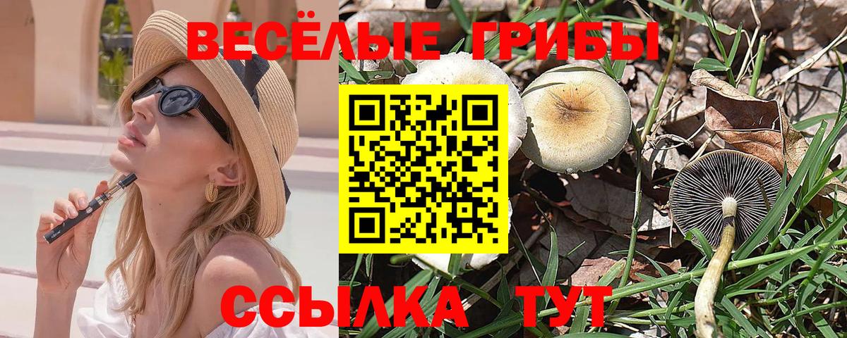 Псилоцибиновые грибы прущие грибы  Вход с VPN  Псилоцибиновые грибы Psilocybe  наркота  Зеленодольск 